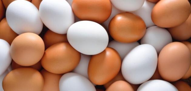 استعمال البيض المسلوق للشعر مجلة ليلاس الثقافية